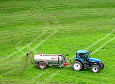 Fertilizer and Soil Amendment
