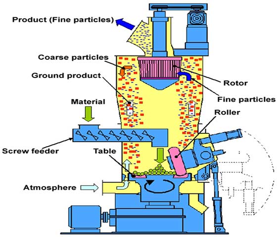 vertical roller mill processing